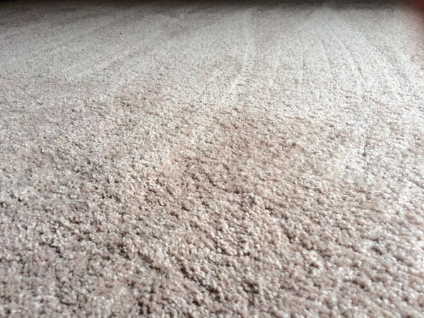 Plush Carpet Installation in Mission Viejo