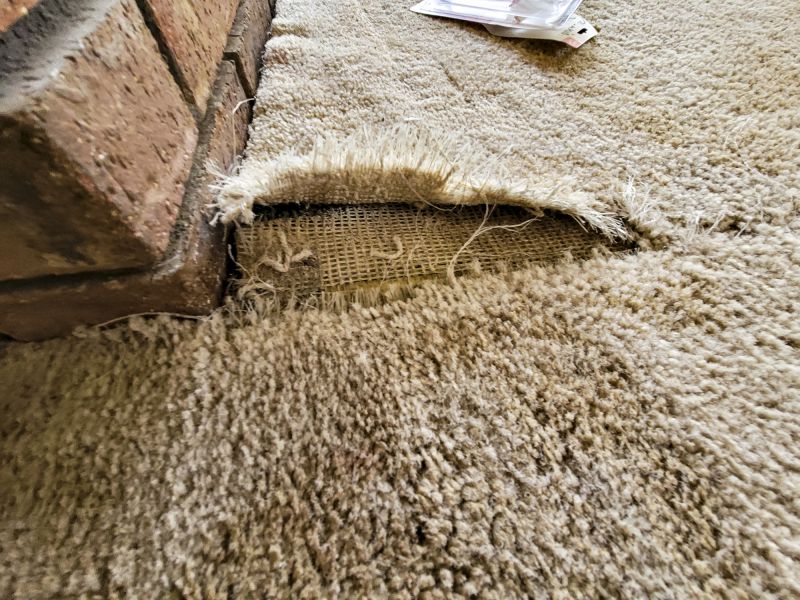 Carpet Burn Repair